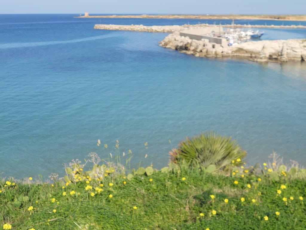 Case Vacanze Terra Sinus Terrasini Kültér fotó