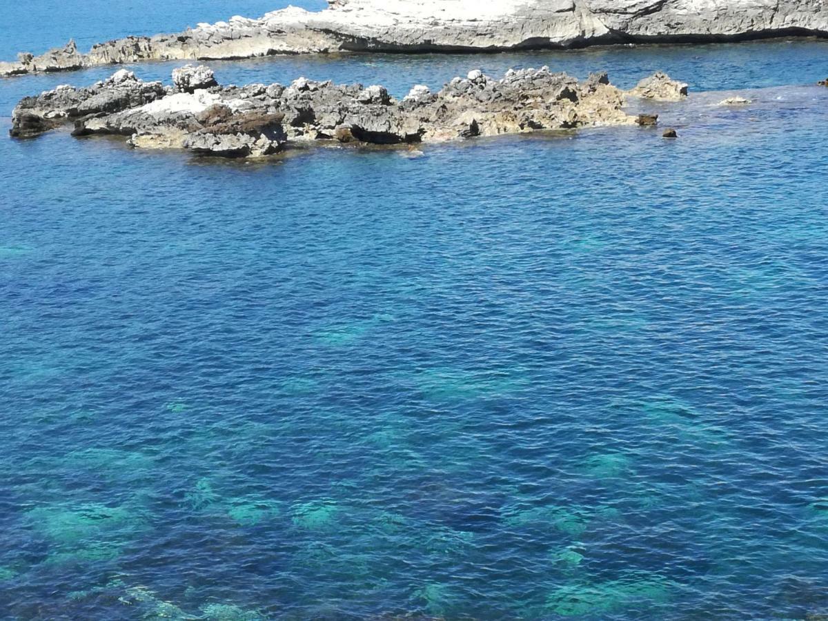 Case Vacanze Terra Sinus Terrasini Kültér fotó